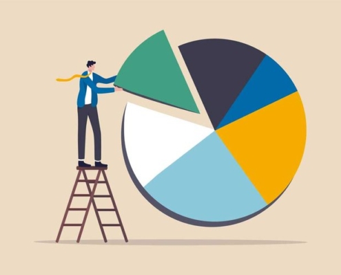 Asset Allocation in Portfolio - Credence Finvest